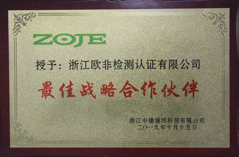 Best strategic partner-Zhejiang Zhongjie Sewing Technology Co., Ltd.