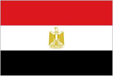 Egypt COC Inspection